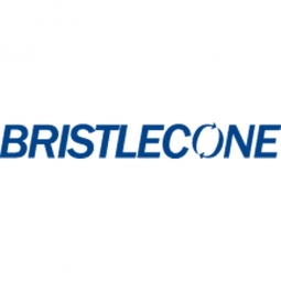 Bristlecone Logo