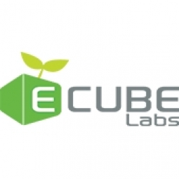 E-cube labs Logo