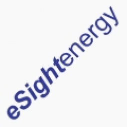 eSight Energy Logo